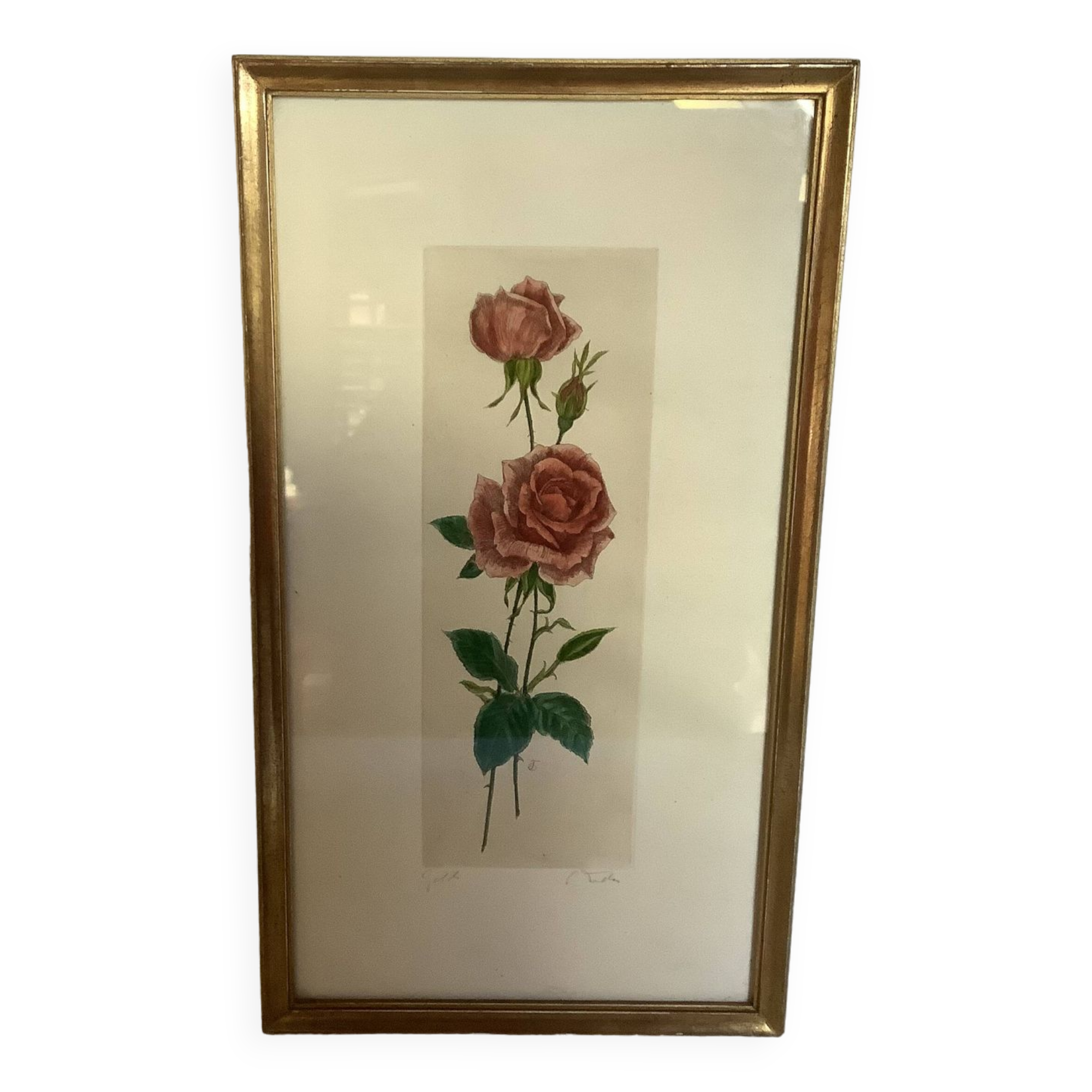 Pink rose flowers frame