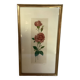 Pink rose flowers frame