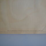 Matisse " nu bleu " 1952 screen print poster spadem 1971