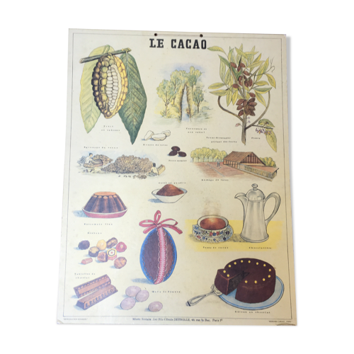 Affiche pédagoqique "le cacao" musée scolaire d'Emile Deyrolle | Selency