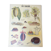 Affiche pédagoqique "le cacao" musée scolaire d'Emile Deyrolle