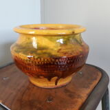 Flower pot planter with indoor plants