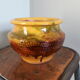 Flower pot planter with indoor plants