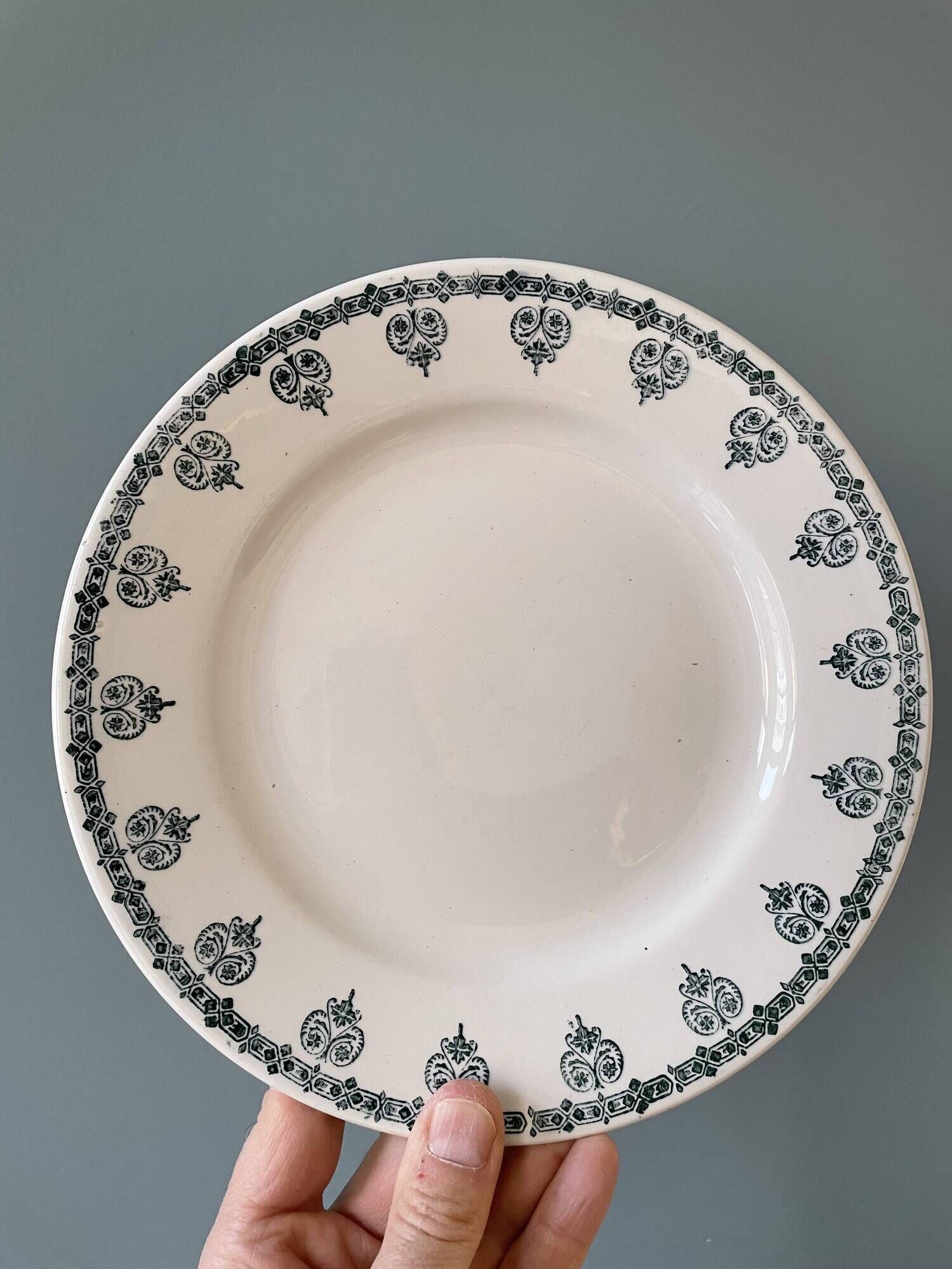 Set of 10 plates (5 flat and 5 hollow) in St Amand earthenware, Céranord