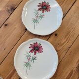 Set of 9 pink daisy dessert plates