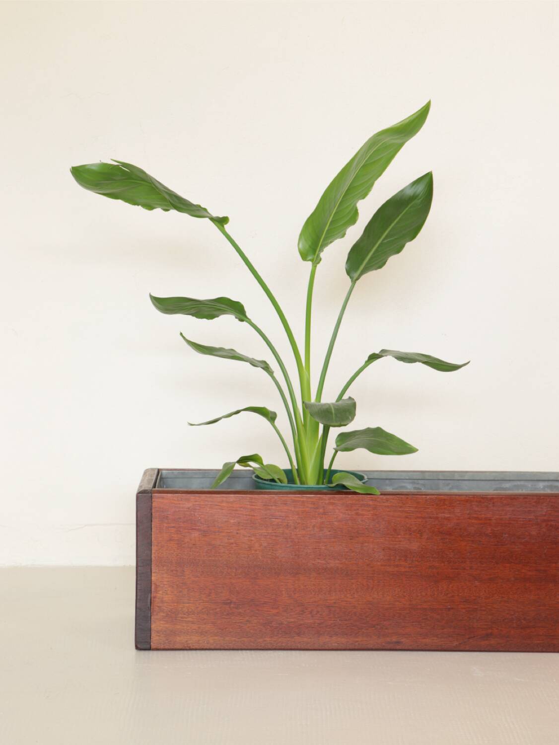 1960s indoor planter