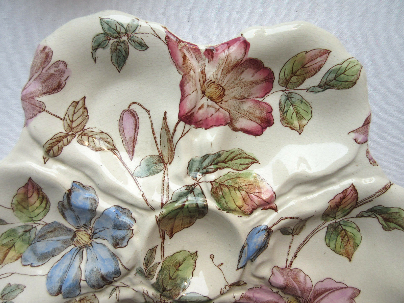 Oyster plate : william alsager adderley (w.a.a.) décor floribel