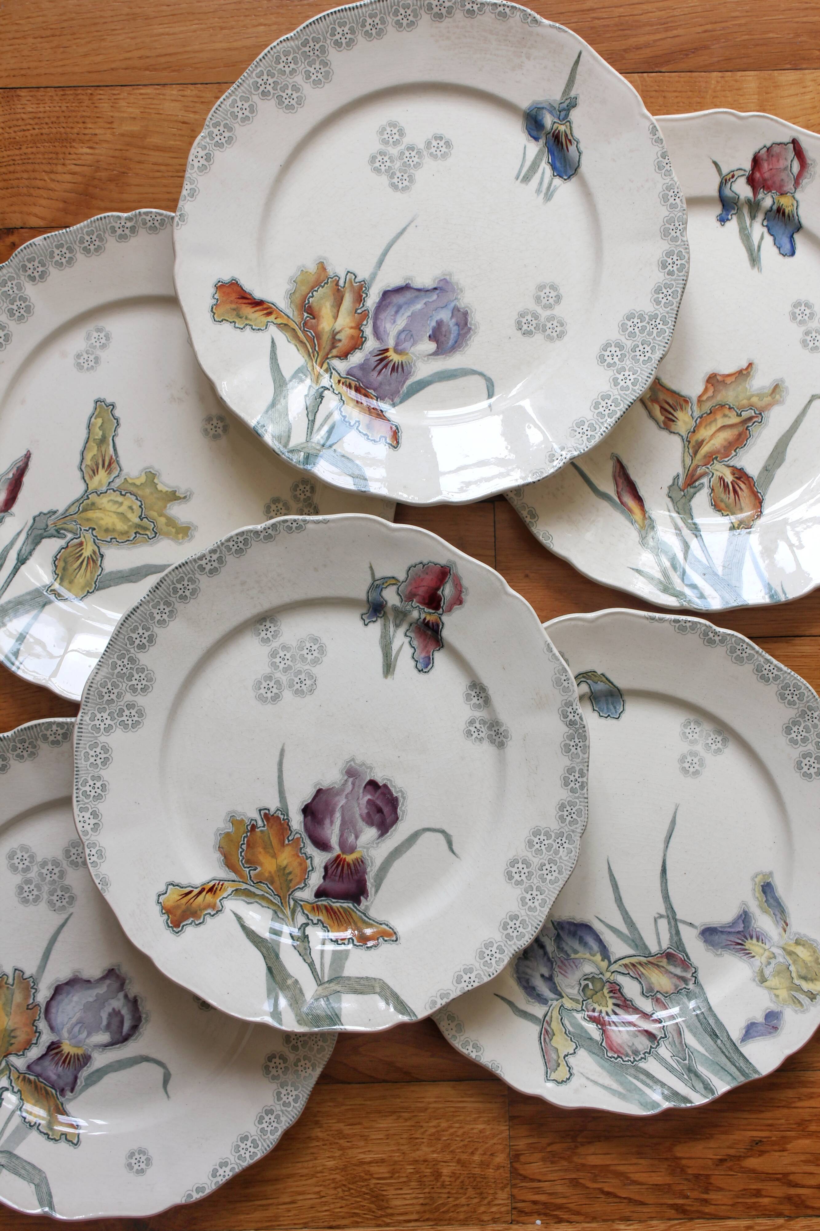 6 large flat plates in polychrome iron earth model "Iris" Choisy-le-Roi