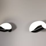 Conche Wall Lamp (Left Version)