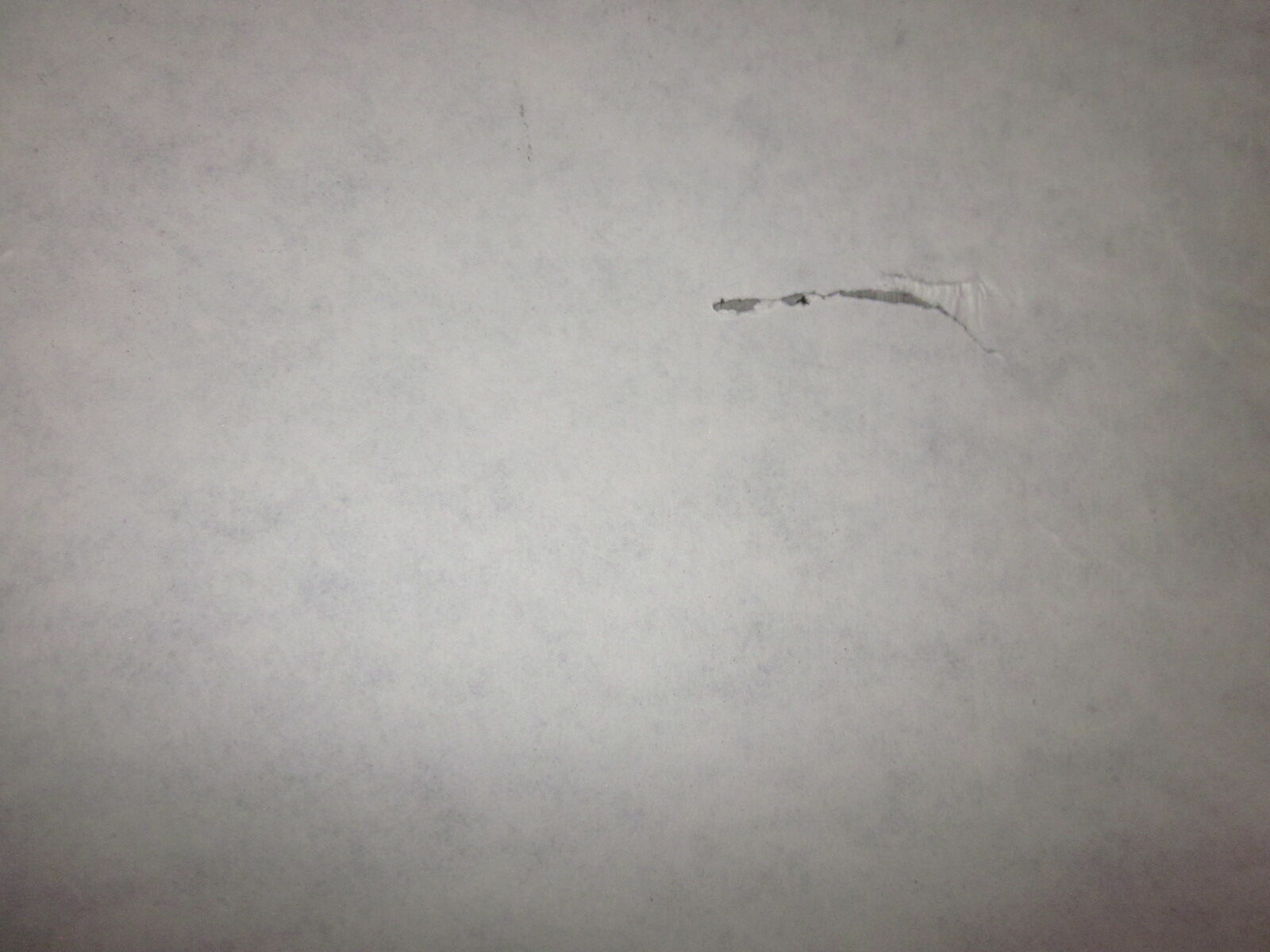 Butterfly movie poster