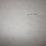 Butterfly movie poster