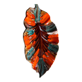Plat vallauris