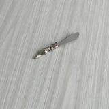 Couteau à beurre élégant en métal brillant