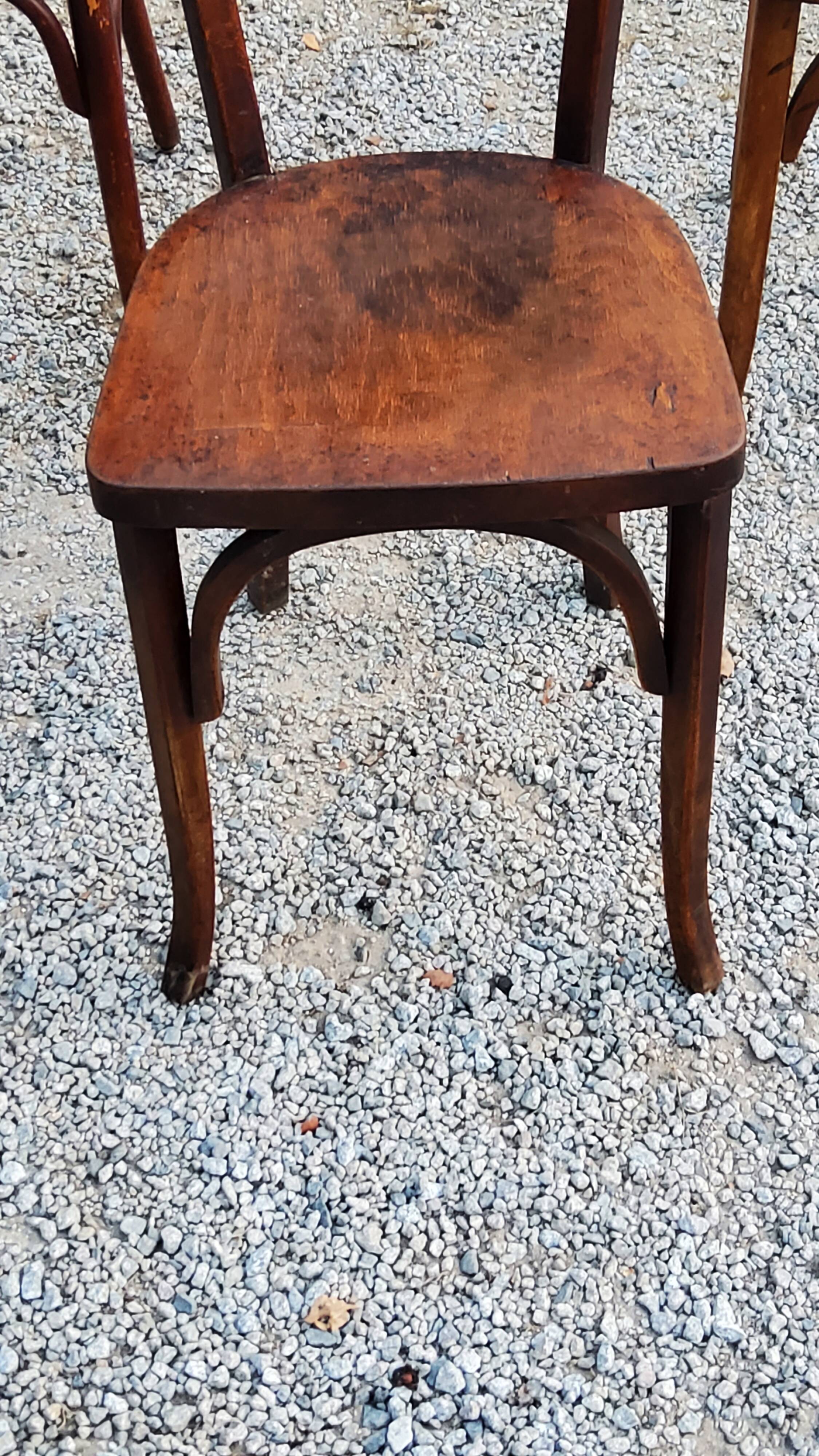 Set of 5 Stella Thonet bistro chairs from the 1950s