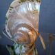 Vintage shell night light lamp from the 1960s