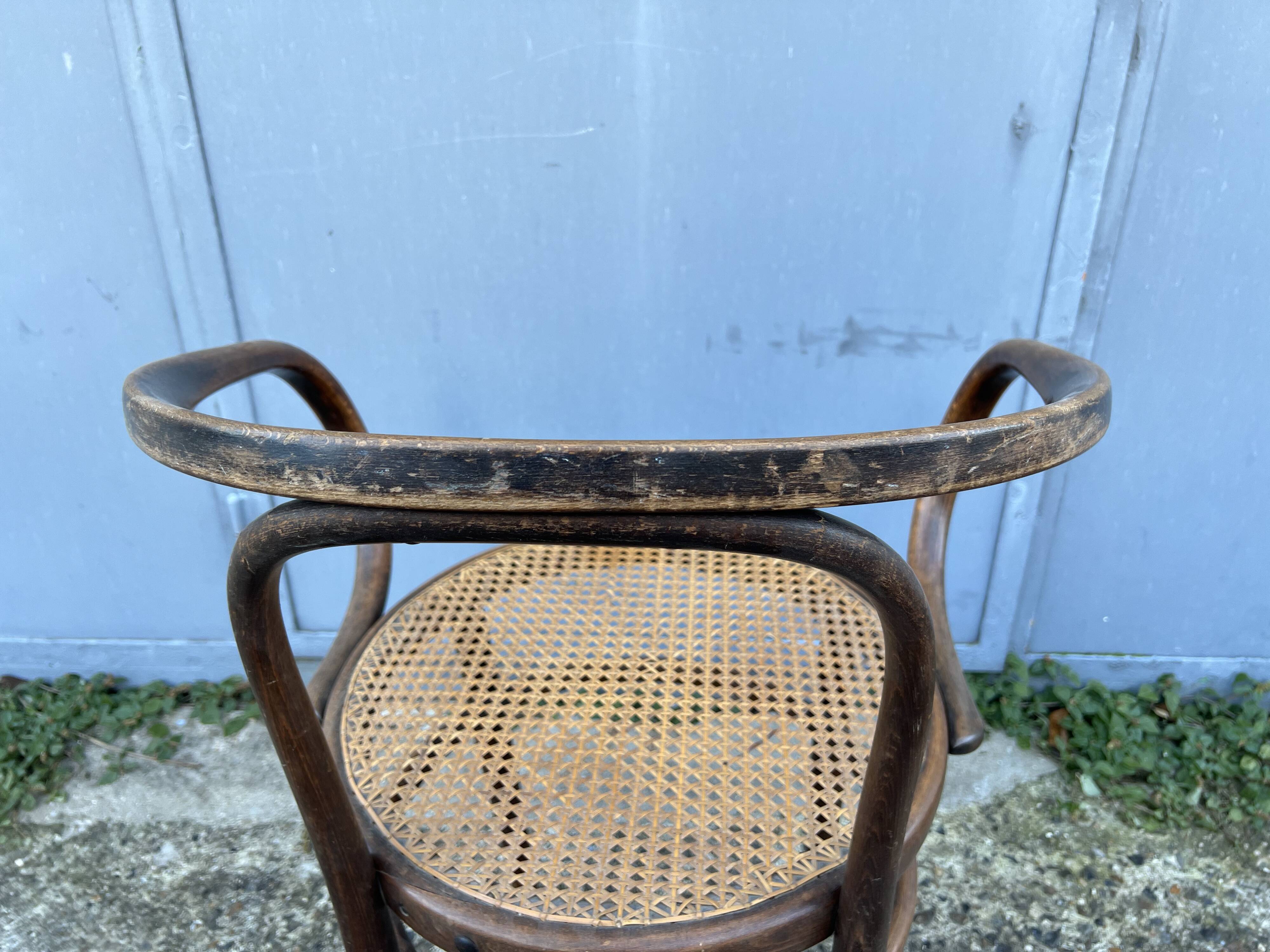 Thonet 209 chair by Mundus