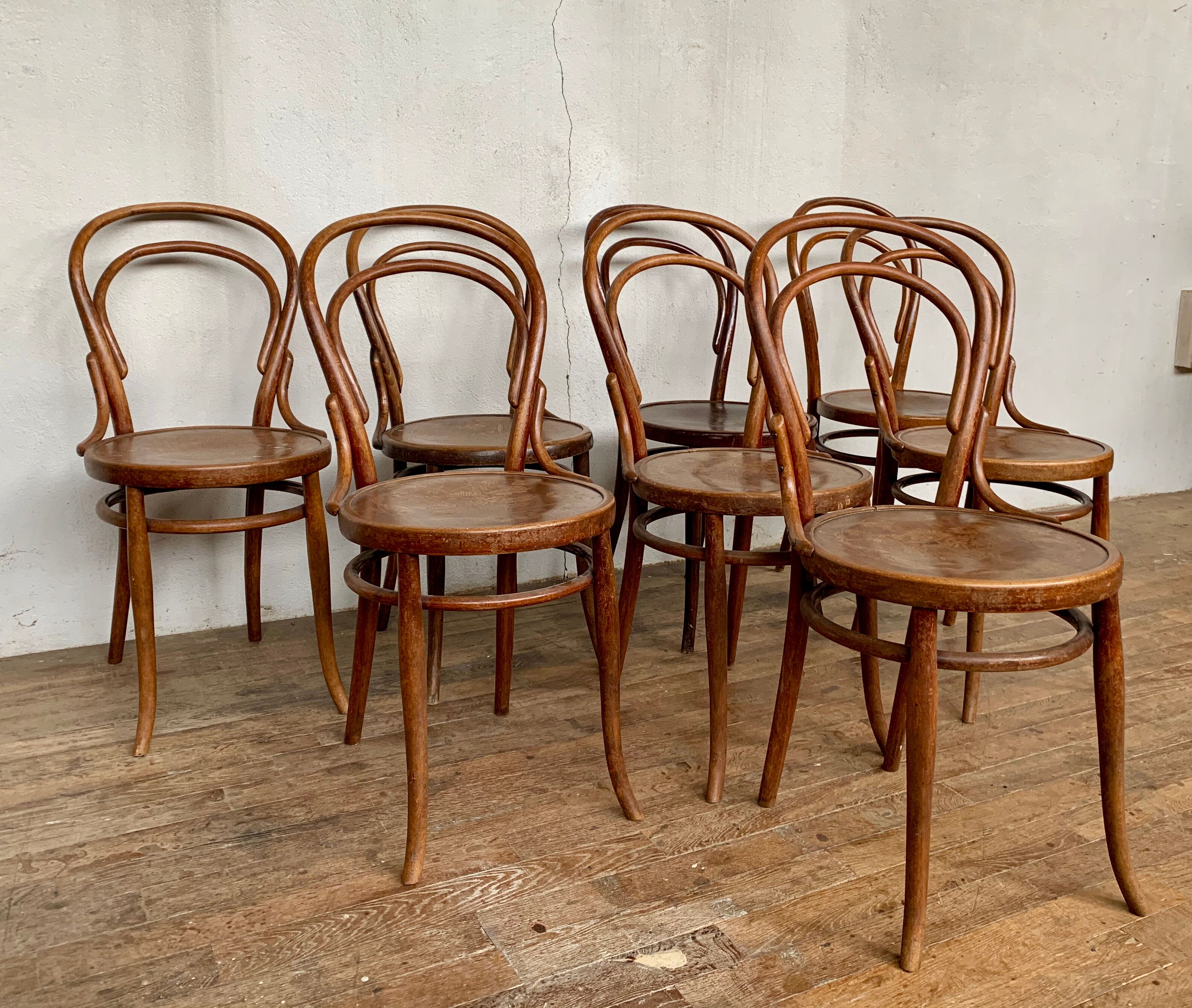 Set of 8 chairs in curved wood Art Nouveau, by Fischel Kohn