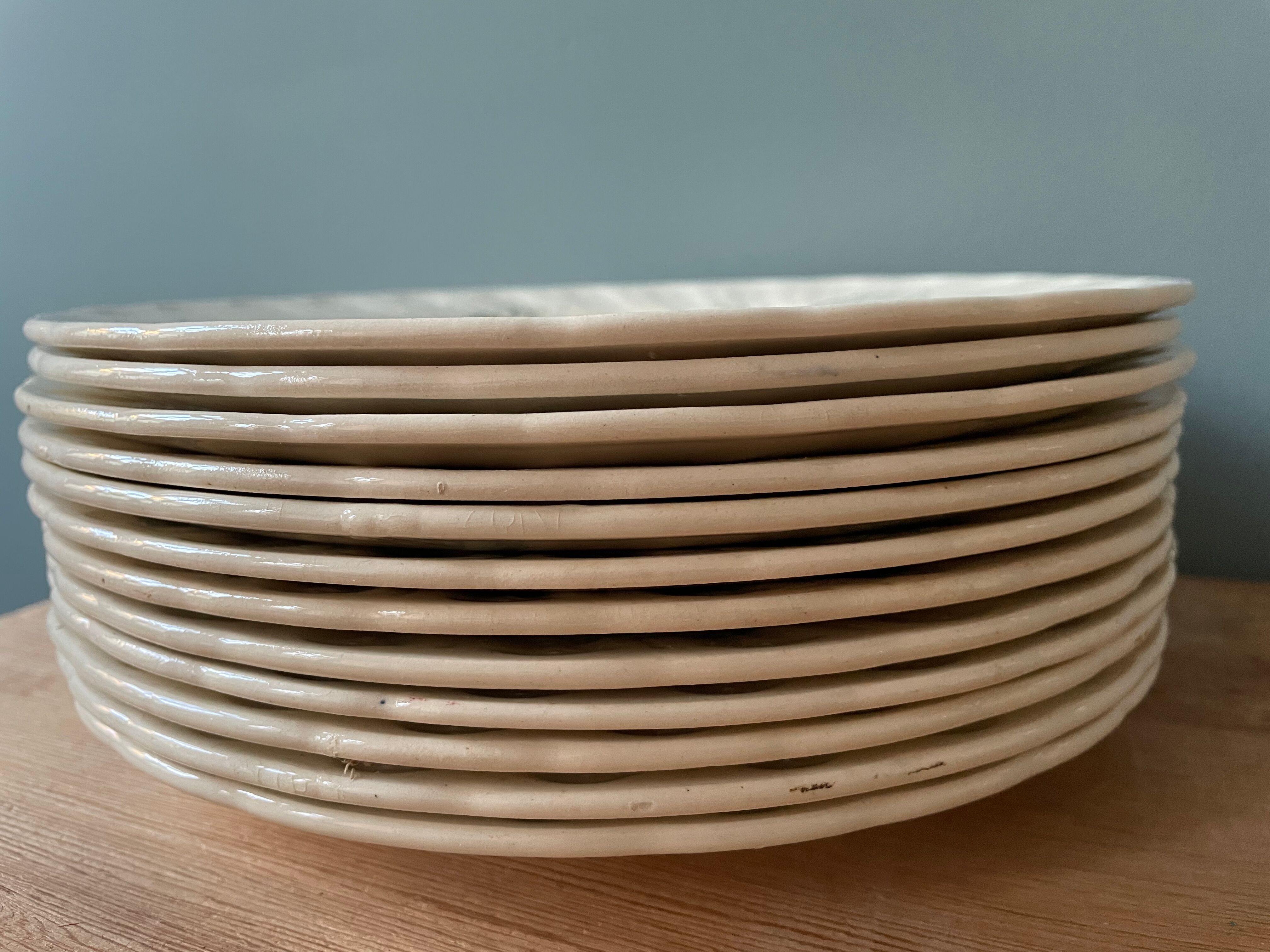 Set of 12 flat plates Terre De Fer XIXth in opaque porcelain of Gien, model Rinceaux