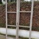 Old pair of window time XVIII th s / XIX th s