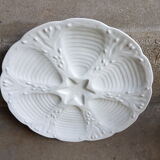6 assiettes à huitres