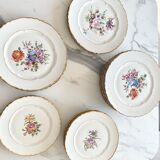 Lot de 20 assiettes anciennes  en porcelaine Haviland