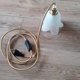 Tulip glass hanging lamp