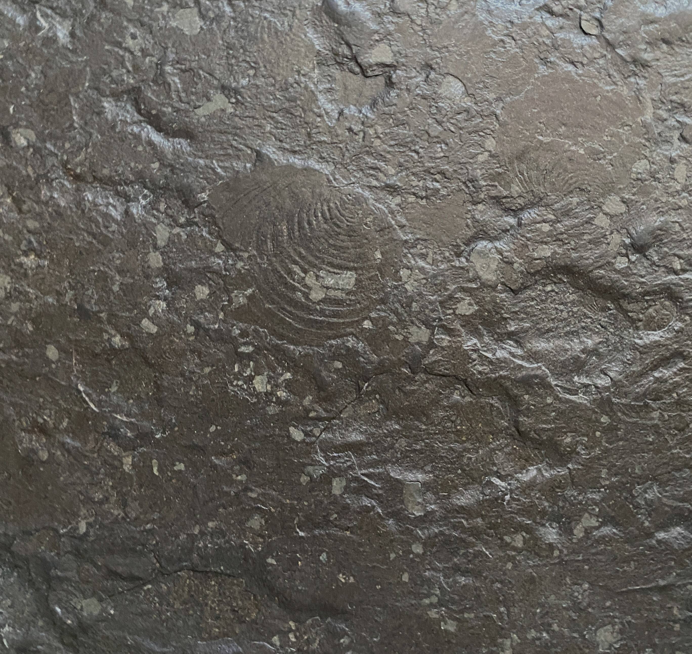 Slate top and chrome coffee table by Dr. Peter Daenert 1970s