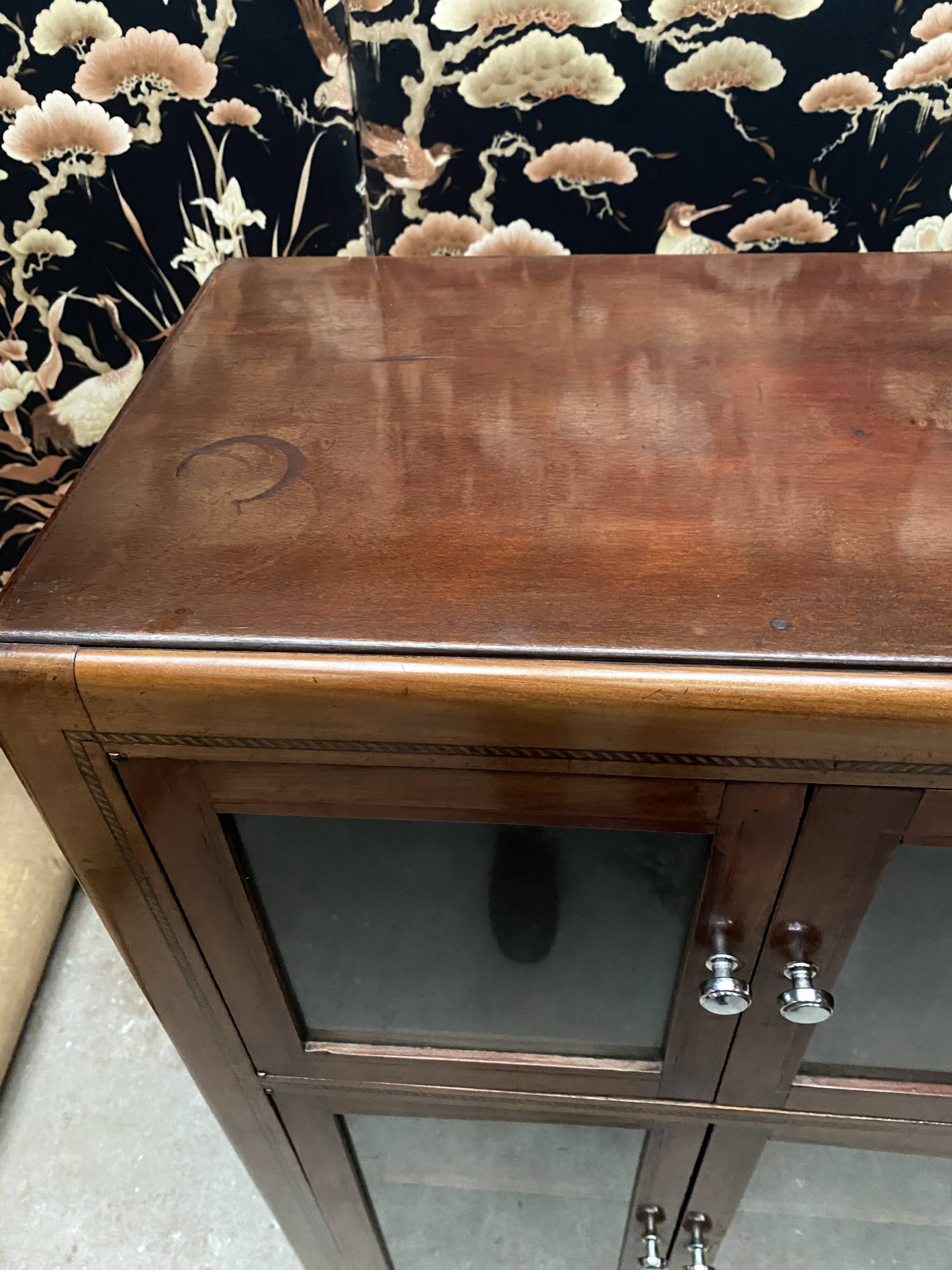 Small Art Deco library display case