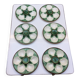 6 oyster plates