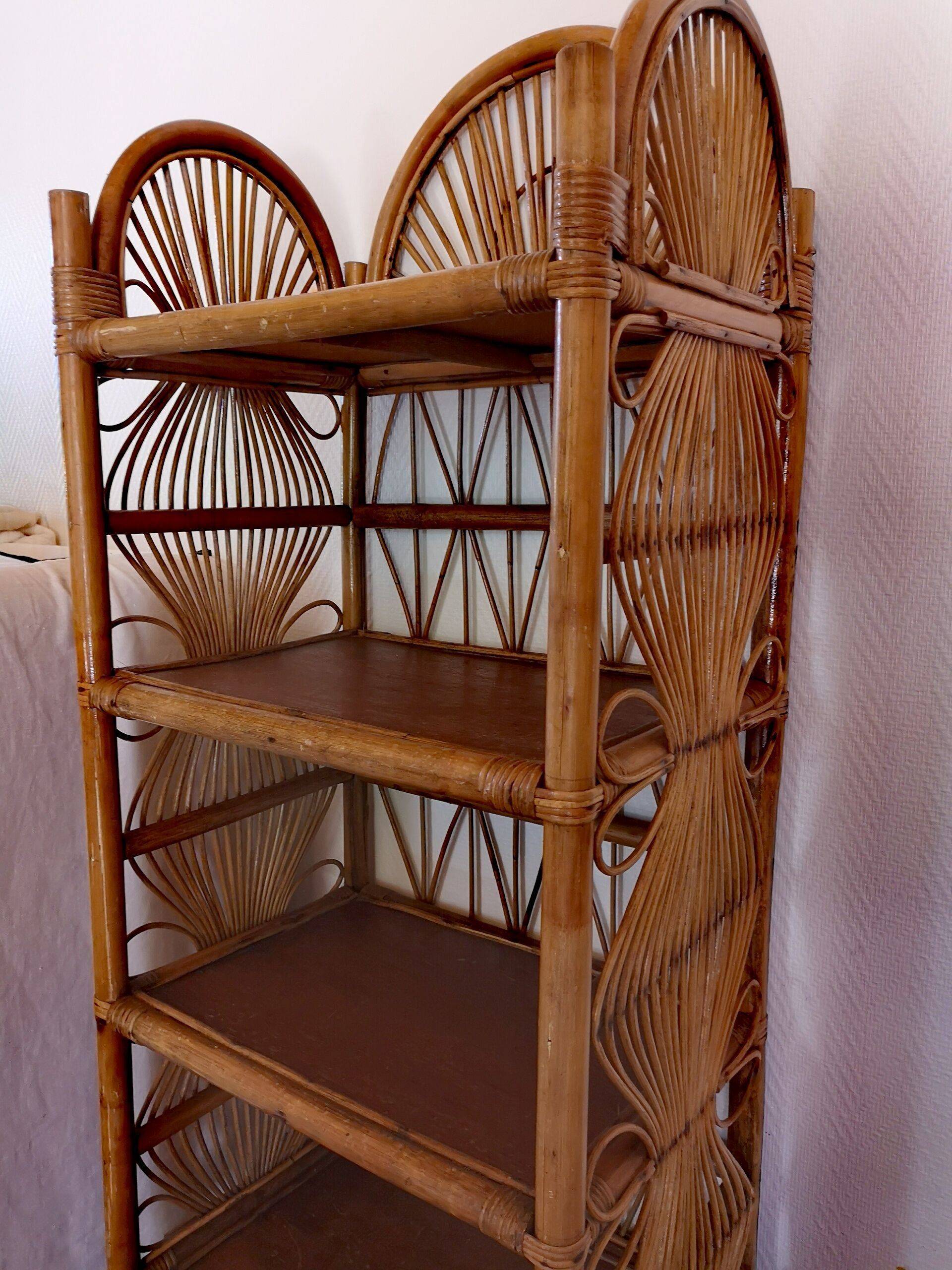 Vintage library in rattan peacock