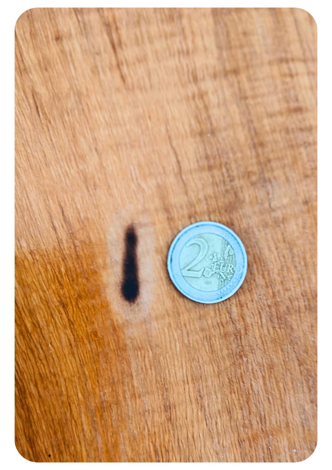 Table à plateau pliante en bois moderne du milieu du siècle
