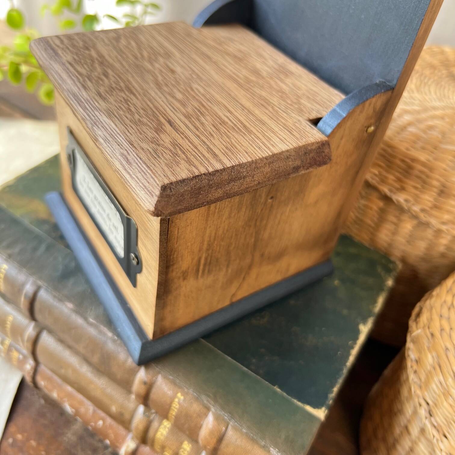 Small “grains of salt” salt box