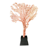 Gorgone Rouge XXL Socle en bois. H : 40 cm | Objet de Décoration Curiosité