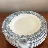 Plates Salins blue earth of iron