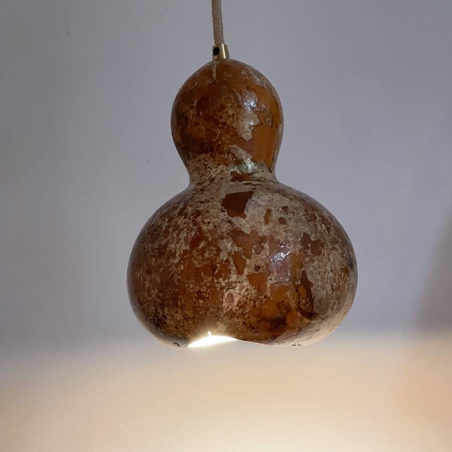 Calabash plant lamp
