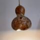 Calabash plant lamp
