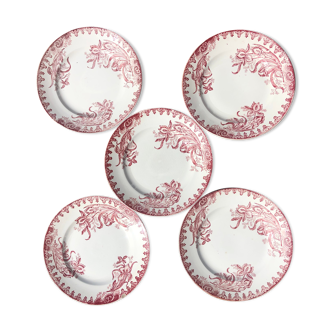 Set of 5 plates St Amandinoise model Iris