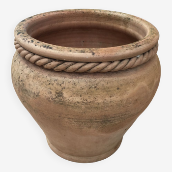 Terracotta pot