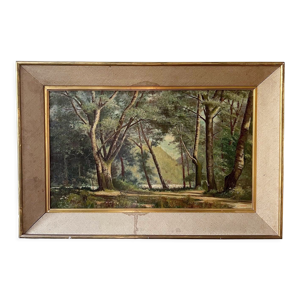 Huile sur toile?, forêt,