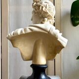 Beige bust of Apollo on black pedestal