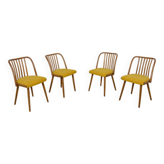 Chaises de salle à manger par Antonín Šuman pour Ton, années 1960, lot de 4