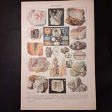 Lithograph on minerals of 1922 (quartz)