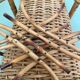 Suspension rotin vintage