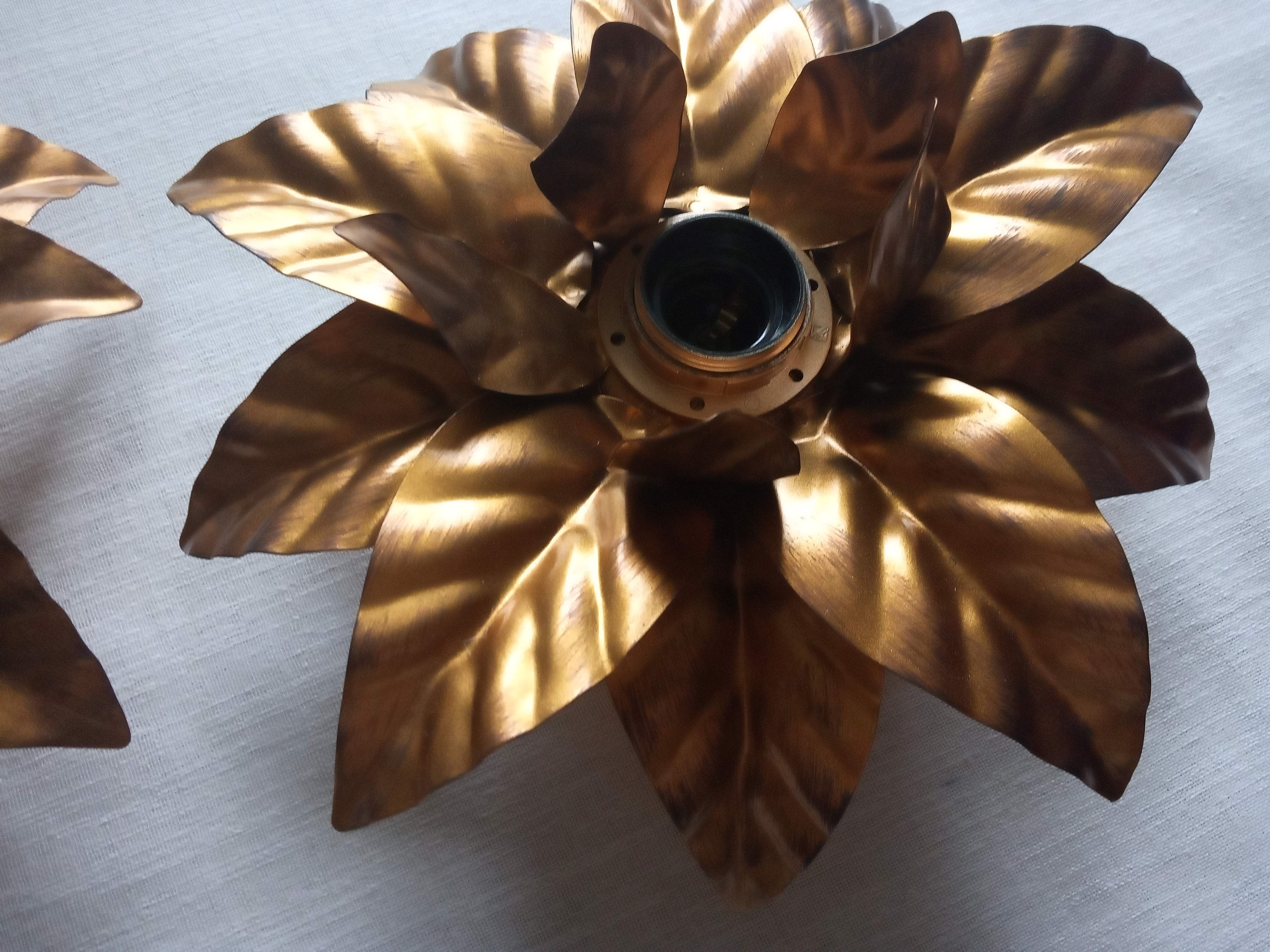 Pair of flower sconces, gilded