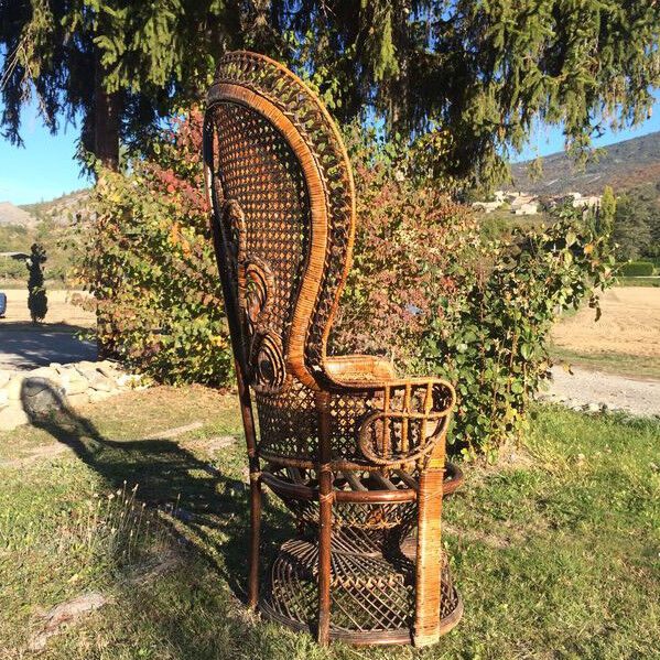 Emmanuelle adult peacock chair for the 70s