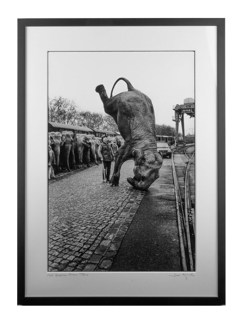 Elephant sur la tête