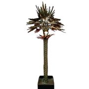 Vintage palm tree floor lamp, Christian Techoueyres for Maison Jansen