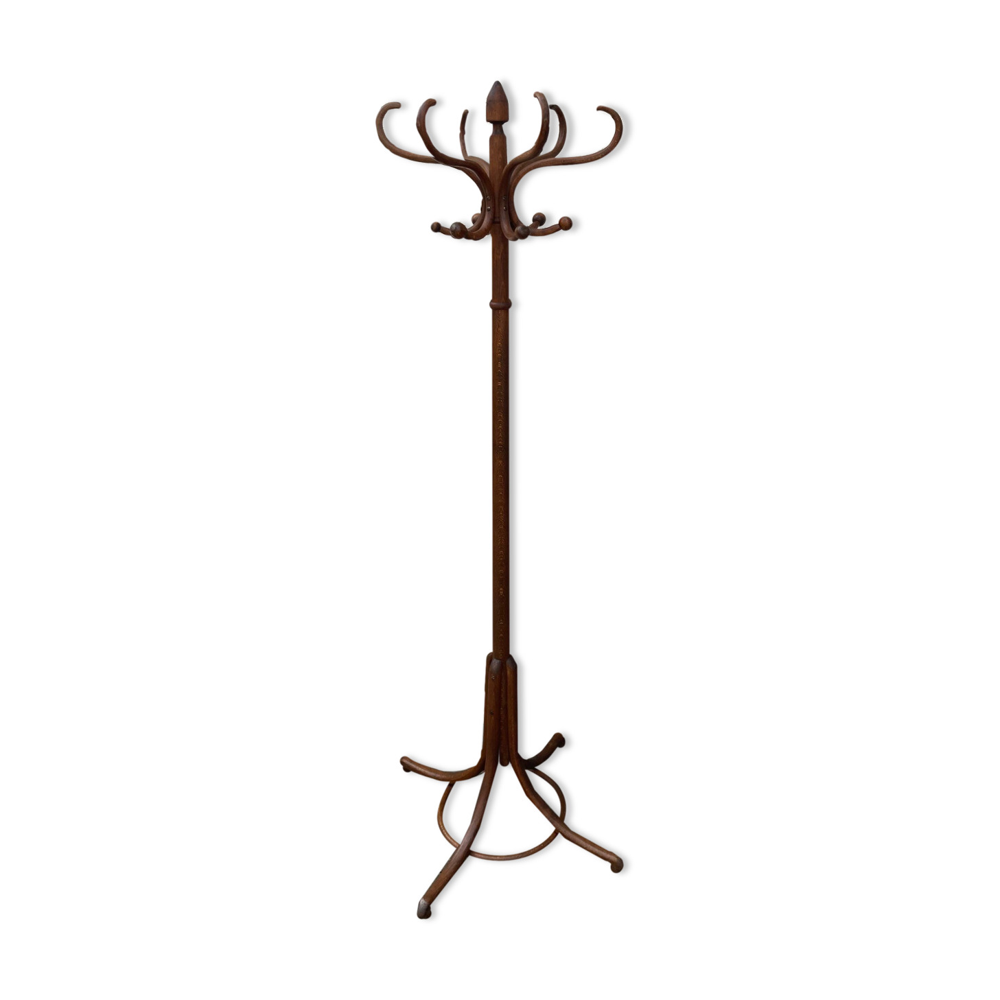 Old curved wood parrot coat rack
