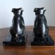 Delivered bulldogs from "Franjou"