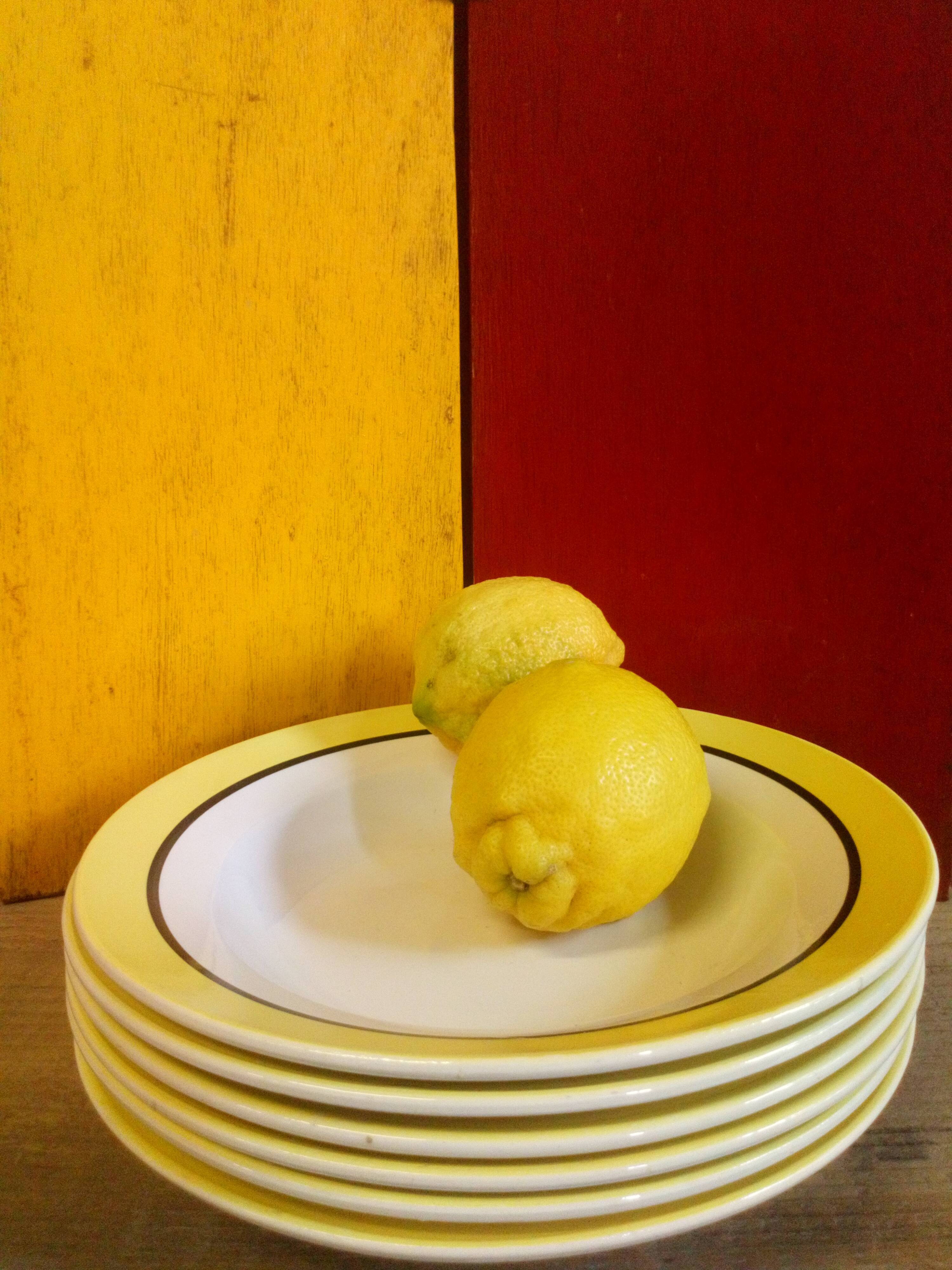 Six plates Digoin-Sarreguemines "Dinard" 50s